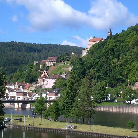 Romantisches Hirschhorn Am Neckar Apartman Kültér fotó