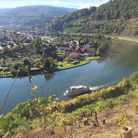 Romantisches Hirschhorn Am Neckar Apartman Kültér fotó