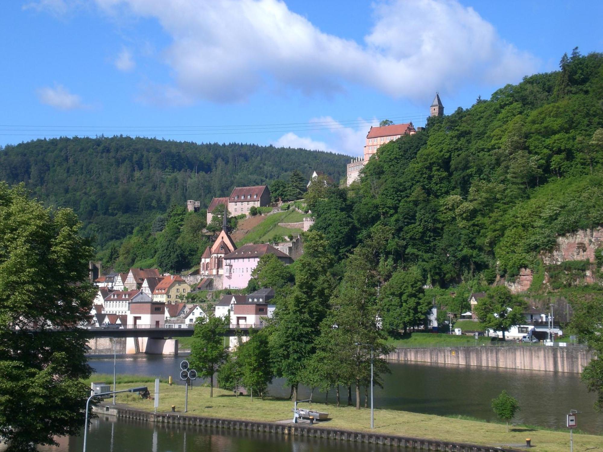 Romantisches Hirschhorn Am Neckar Kültér fotó
