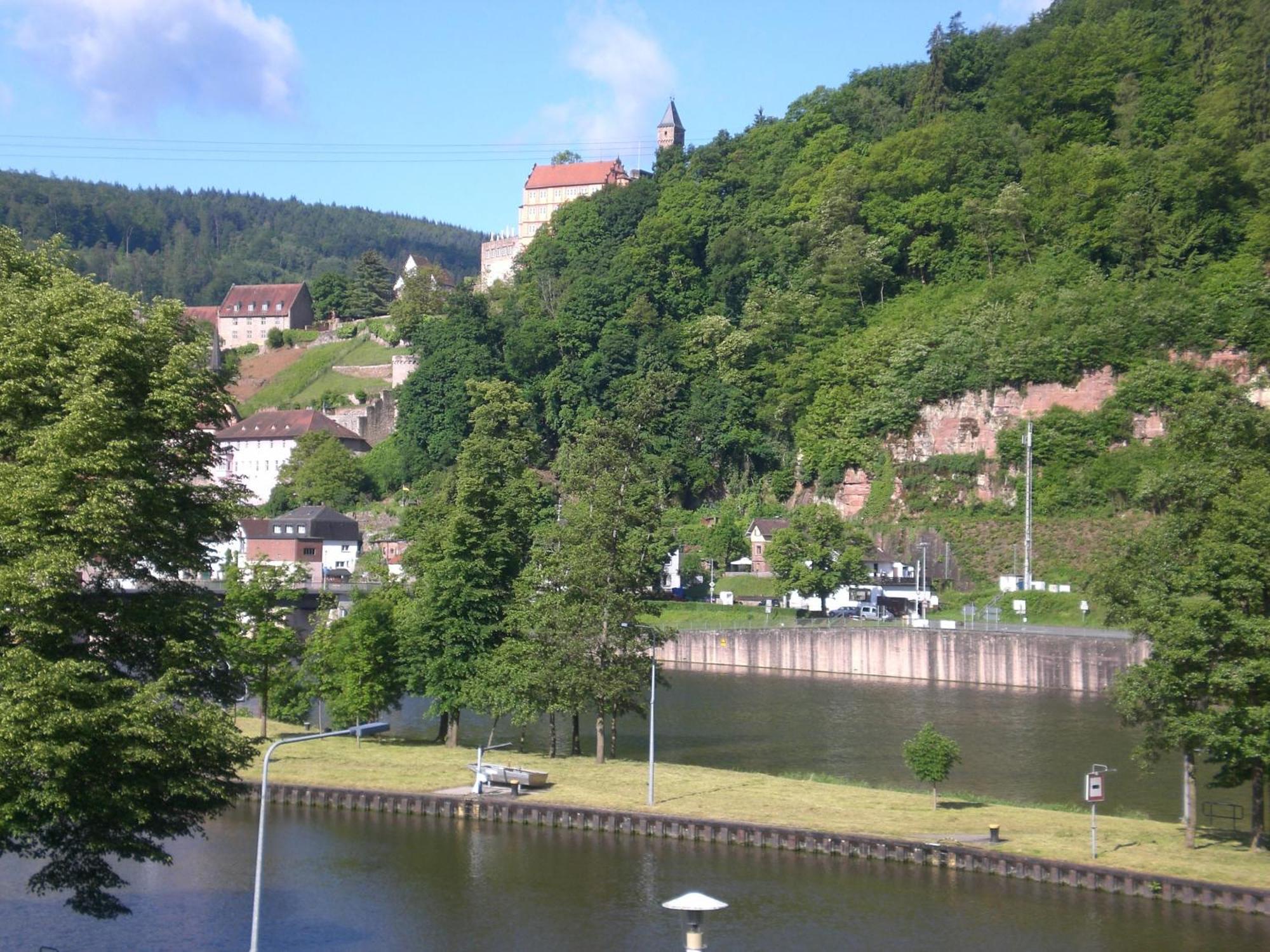 Romantisches Hirschhorn Am Neckar Apartman Kültér fotó