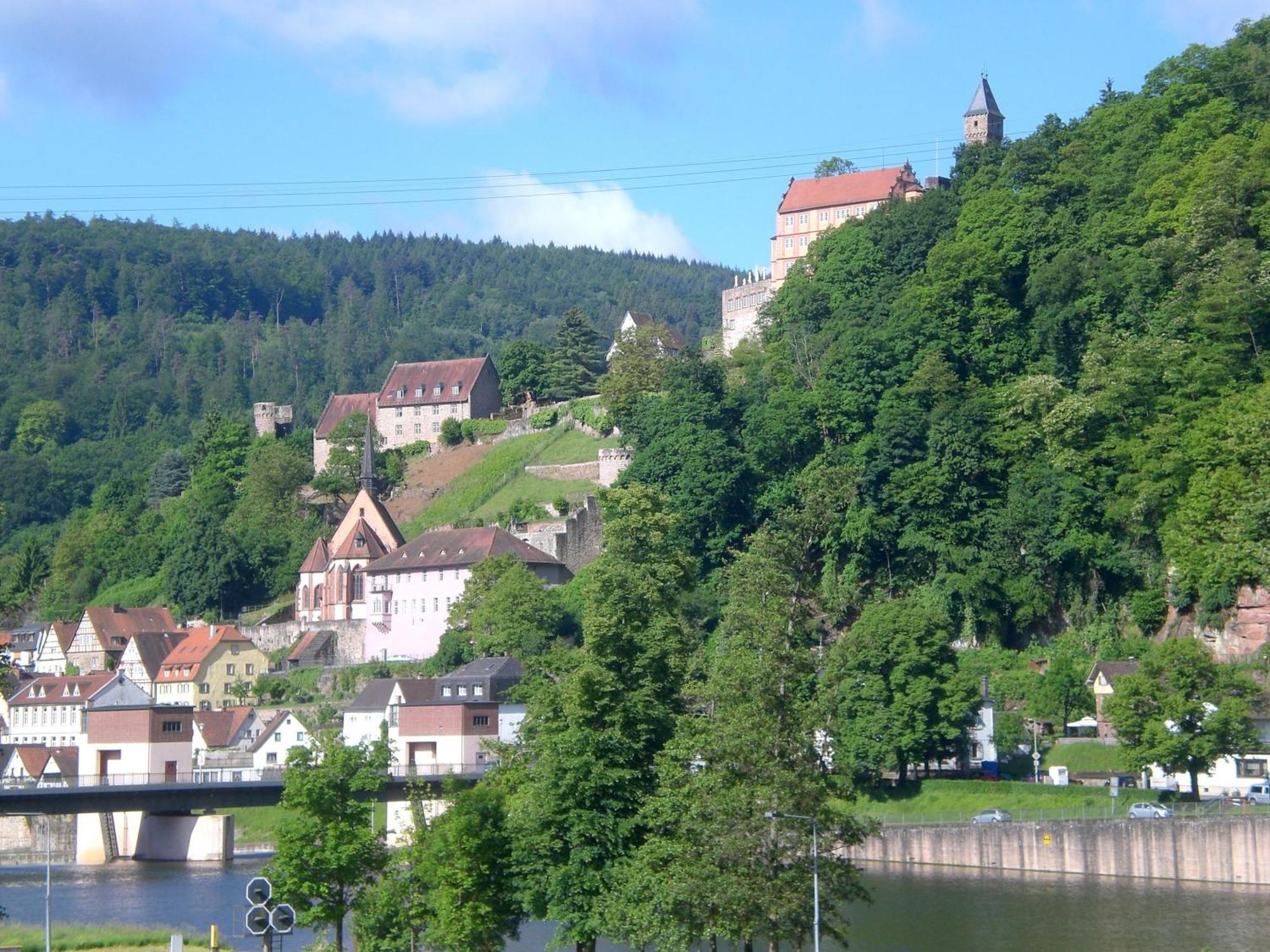 Romantisches Hirschhorn Am Neckar Apartman Kültér fotó