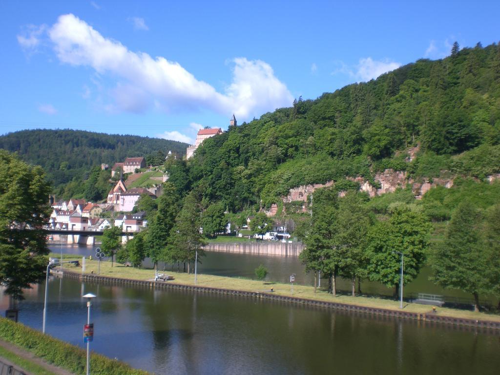 Romantisches Hirschhorn Am Neckar Apartman Kültér fotó