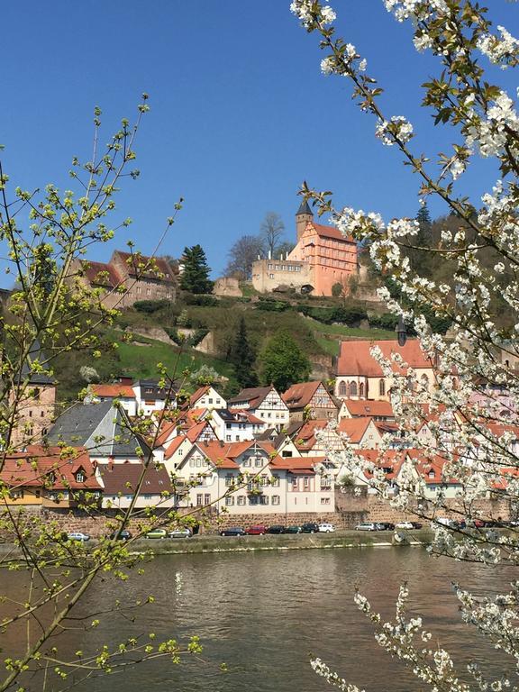 Romantisches Hirschhorn Am Neckar Apartman Kültér fotó