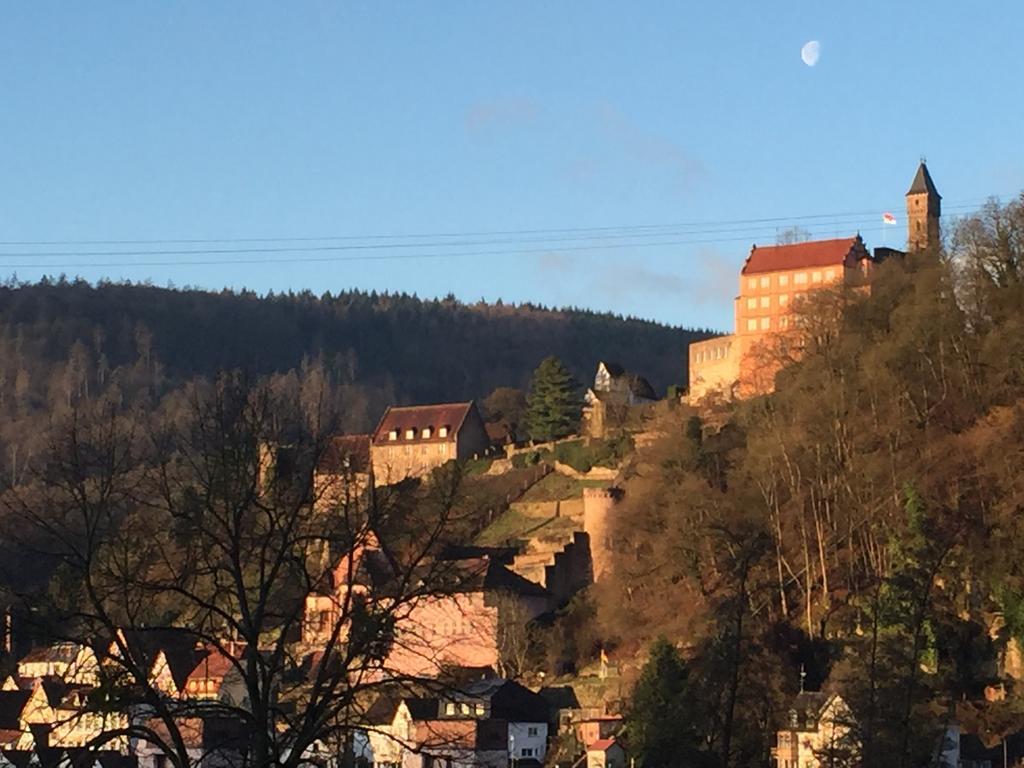 Romantisches Hirschhorn Am Neckar Apartman Kültér fotó