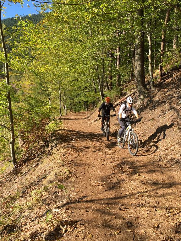 Romantisches Hirschhorn Am Neckar Kültér fotó