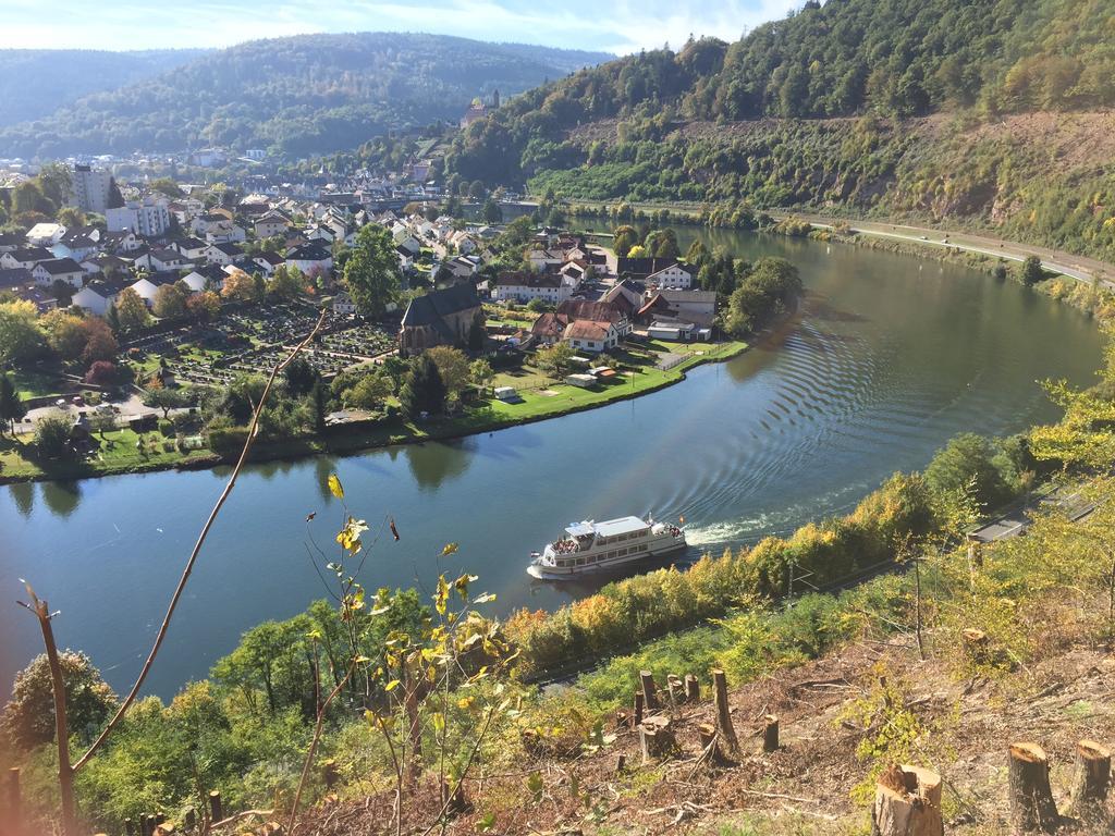 Romantisches Hirschhorn Am Neckar Kültér fotó